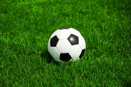 初学者入门教育平台